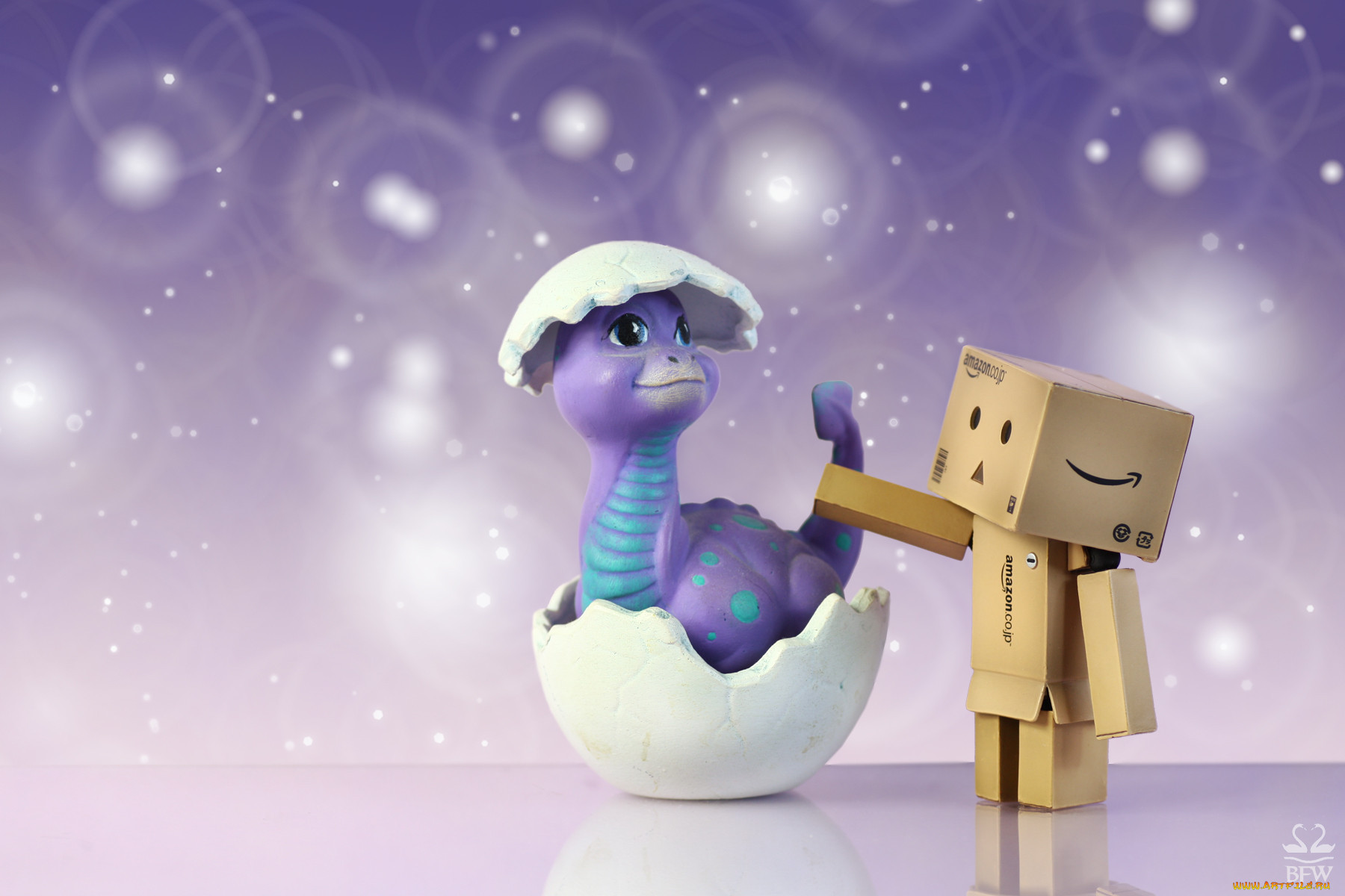, , danboard